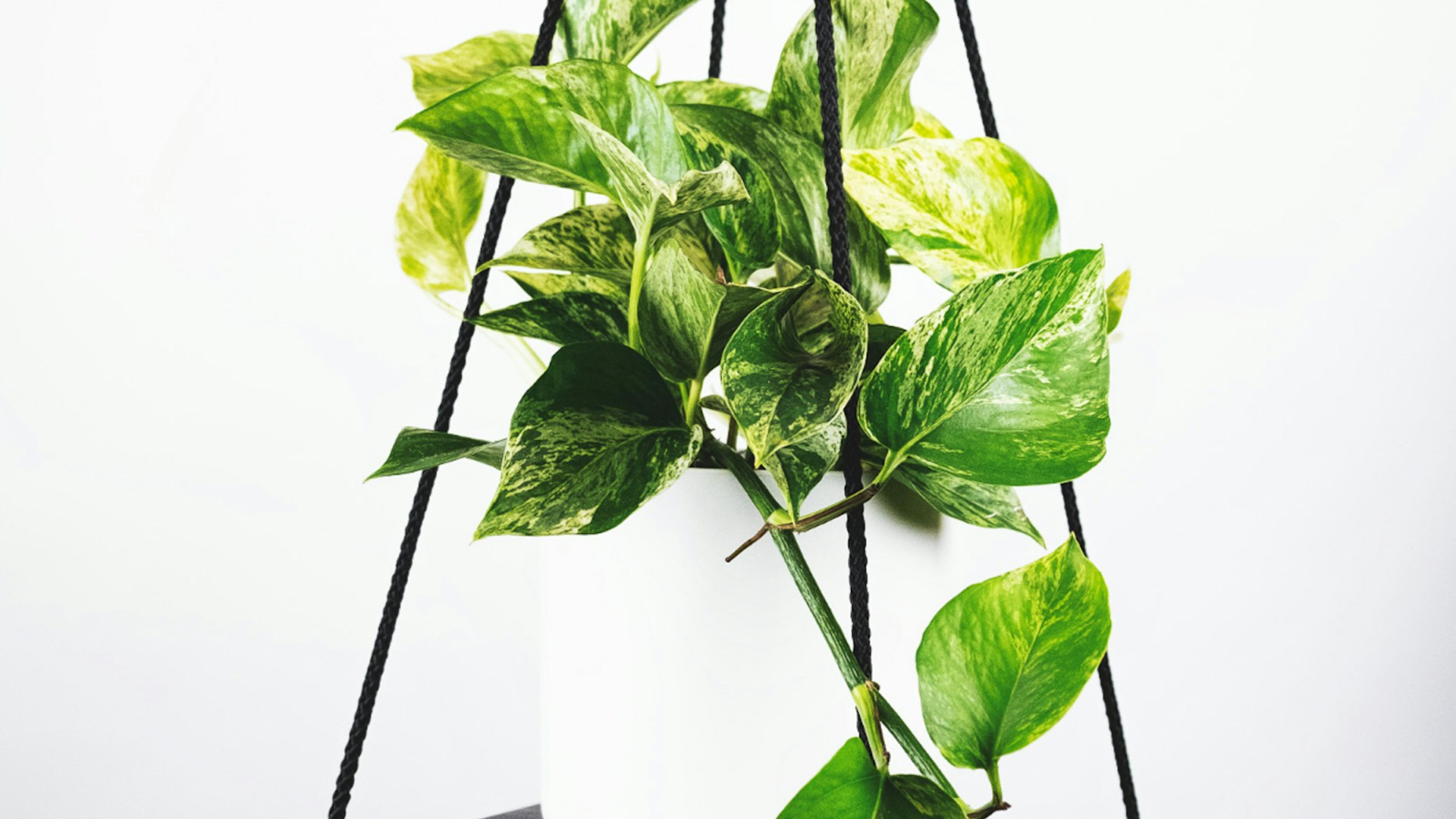 世界杯赛前预测分析网横幅背景 - 宏伟的足球体育场坐满观众，夜空下灯光璀璨